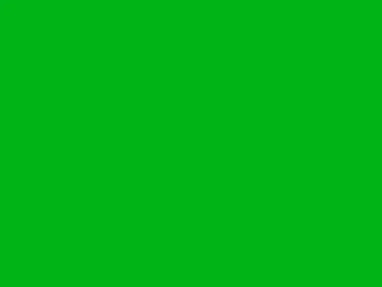 Nr. 014 - grüner Hintergrund (Pappe/Stoff)